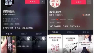 抖音实名料子批发，品质之选，海量货源，开启财富新机遇