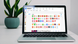 抖音小号批发出售网平台，便捷交易，满足多样需求