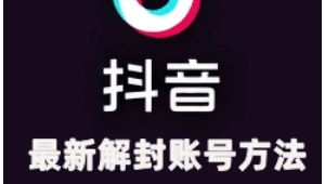 抖音实名号批发：便捷获取，满足多样需求开启精彩抖音之旅