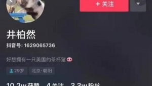 抖音号购买 11：解锁独特魅力，开启别样精彩之旅