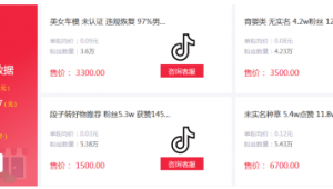 抖音账号购买全攻略：揭秘安全交易流程与注意事项