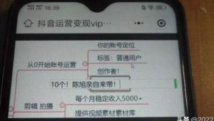 抖音账号购买 16：解锁新可能，开启独特抖音之旅